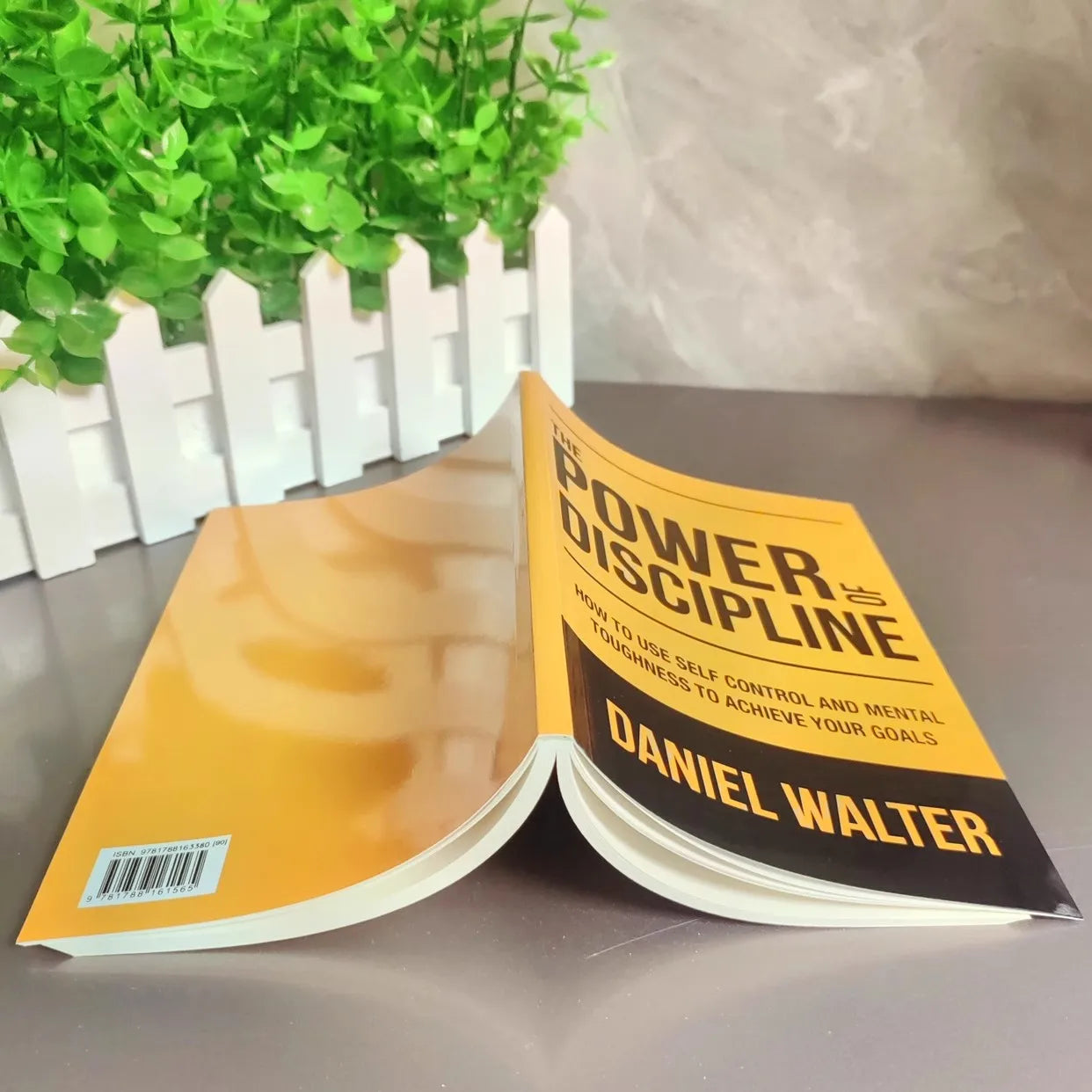 The Power of Discipline: How To Use Self Control and Mental Toughness To Achieve Your Goals By Daniel Walter English Book